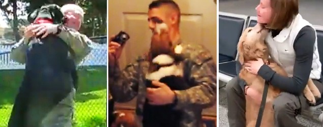 Overjoyed dogs reunite with soldiers. (Stupid Videos)